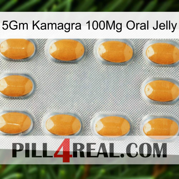 5Gm Kamagra 100Mg Oral Jelly cialis3.jpg